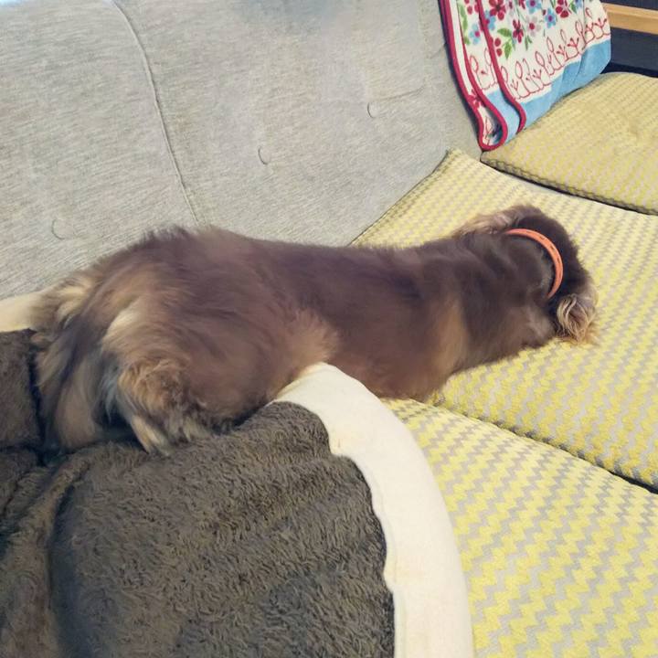 5bb98557 4fb9 4699 ae5f f5f7ee76e7fa 1566704630684