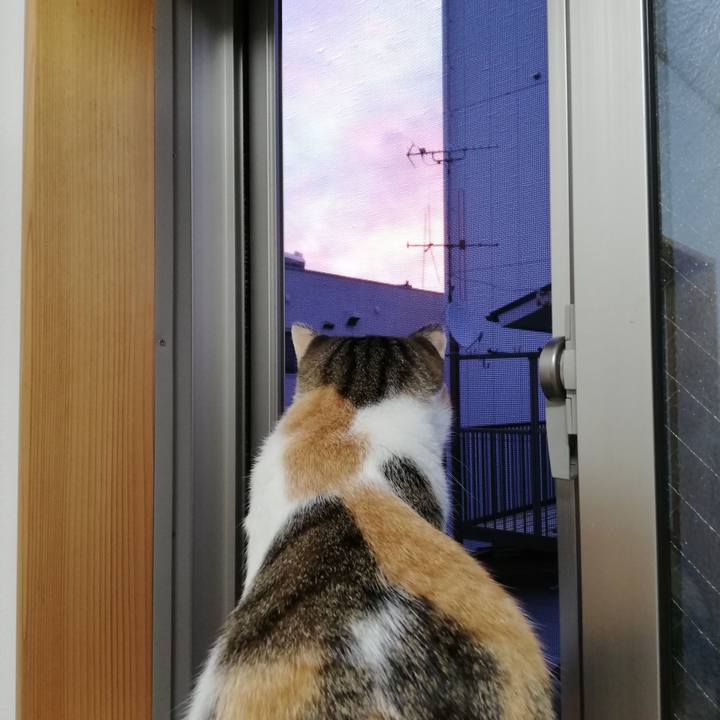 5bb9a990 a693 4a50 8935 5883c50b88b1 1600035634306