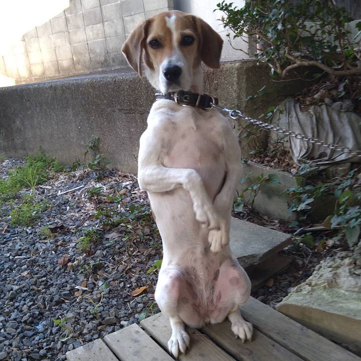 5bb9d072 c670 4484 bc99 30fe725c099b 1633695138026