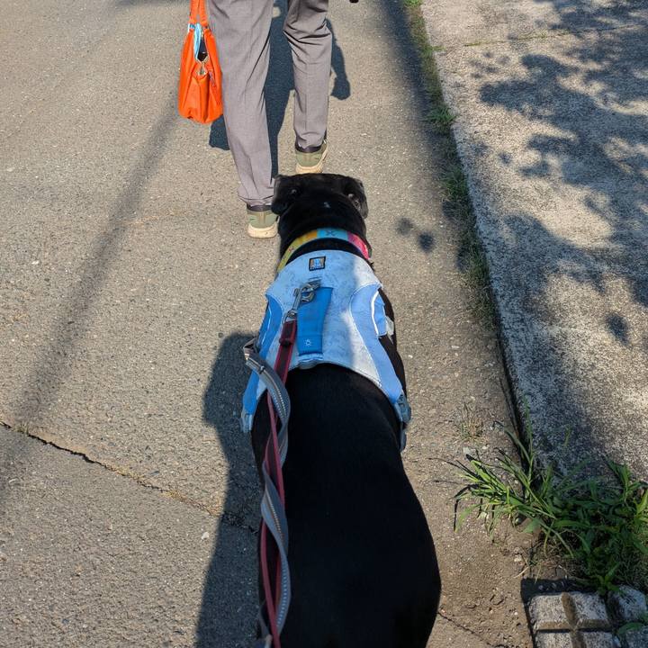 5bba6d81 c288 47c4 bcb6 7607b7e76203 1751156450550