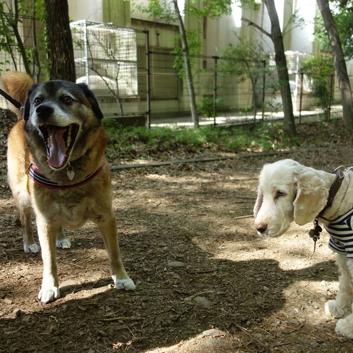 5bba87df 65d9 43df 95bc 81d99b847072 1525049676549