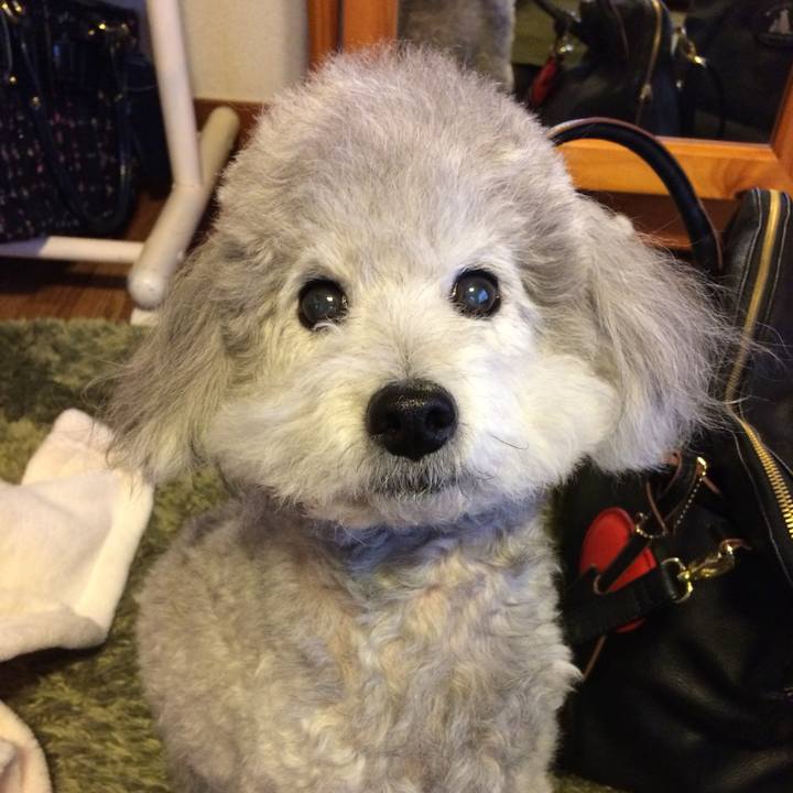 5bbac0f6 f747 4f42 af01 b86271ce59f2 1727137785774