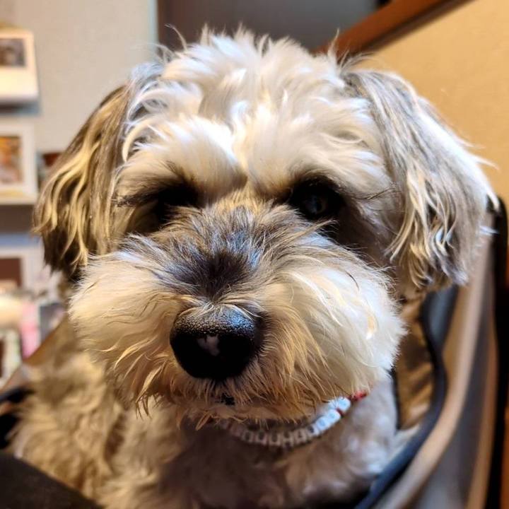 5bbae0a8 6f9d 425d 9c0f 8632e4da0fdb 1761842541300