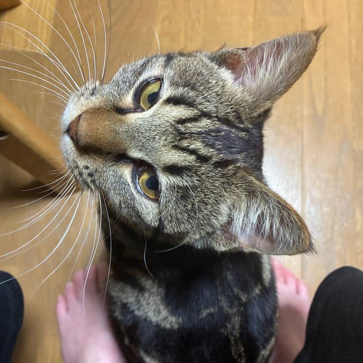 5bbaf101 a4c5 4f58 8540 de81ba8401dc 1747220798867