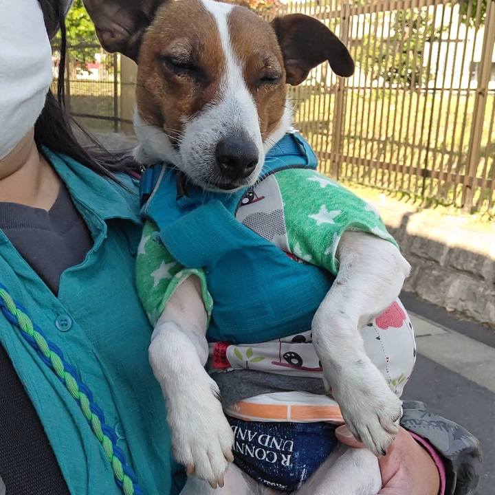 5bbb4221 d8df 491f 90e9 c34bd7fbf257 1618838302872