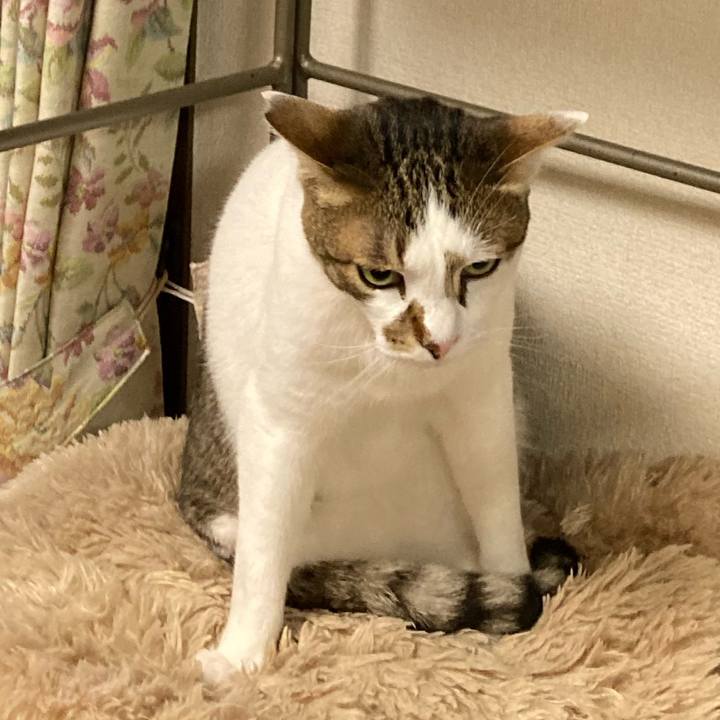 5bbb4cac 9199 4426 86ec 4006ad1b7c07 1617838750449