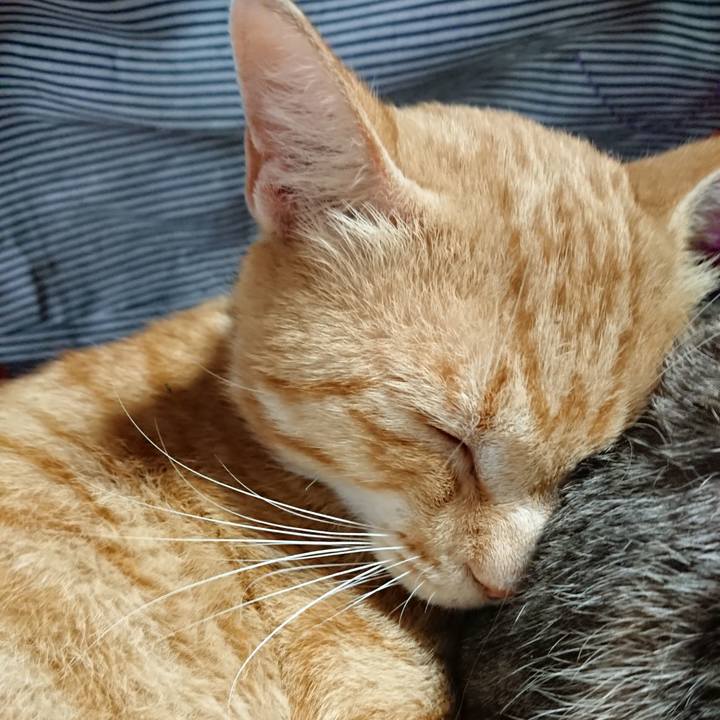 5bbb5e0b adc8 4f9d 821c a9c37301f340 1561790182499