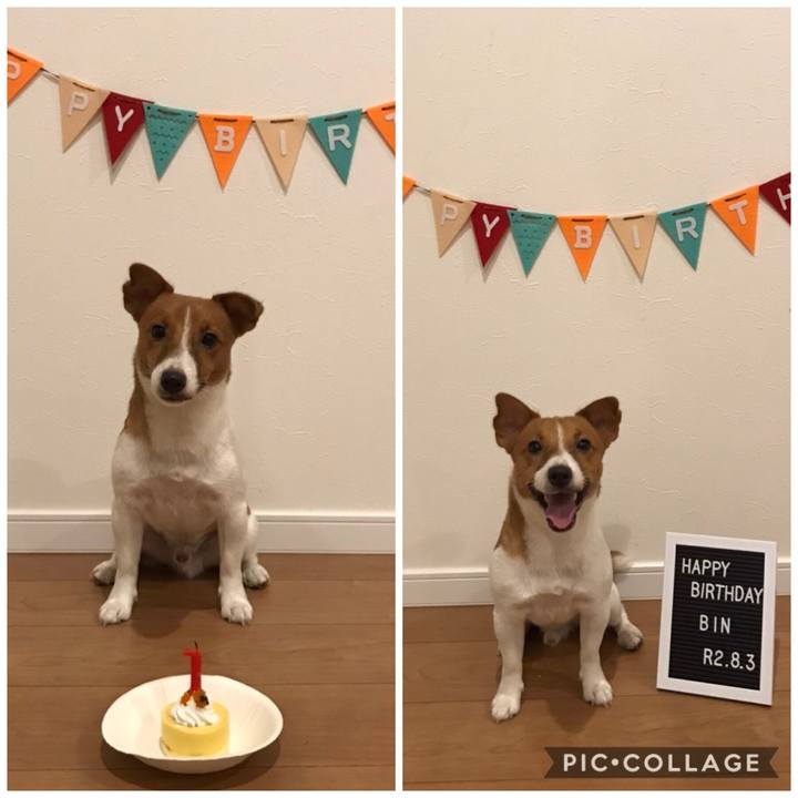 5bbb6e54 de02 419c 8e55 4dcbb9b3a0c5 1596581900622