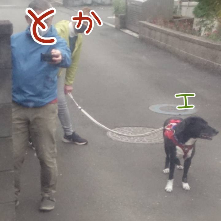 5bbb787a 5ff5 439a b76b a39a989c4efb 1669420803883