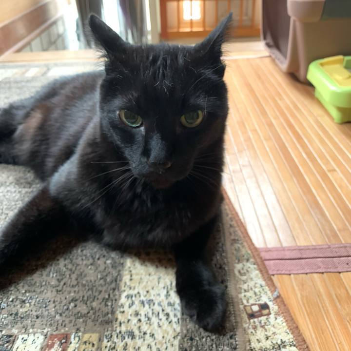 5bbb8a8e 1495 4b3f a047 e5350570b93b 1589677921359