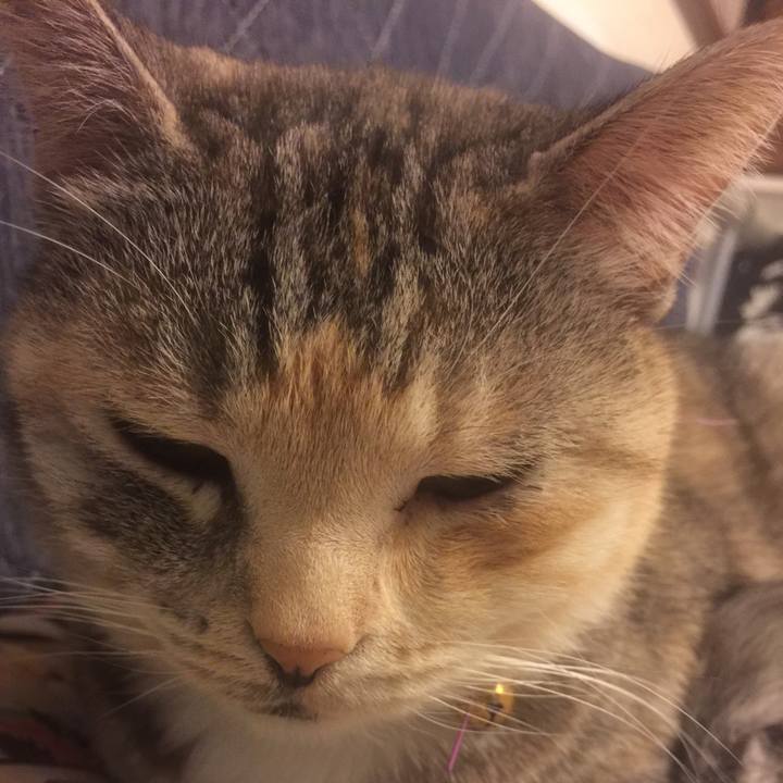 5bbb923f 4f71 4ce0 a3a3 7b64ba356962 1552664219187