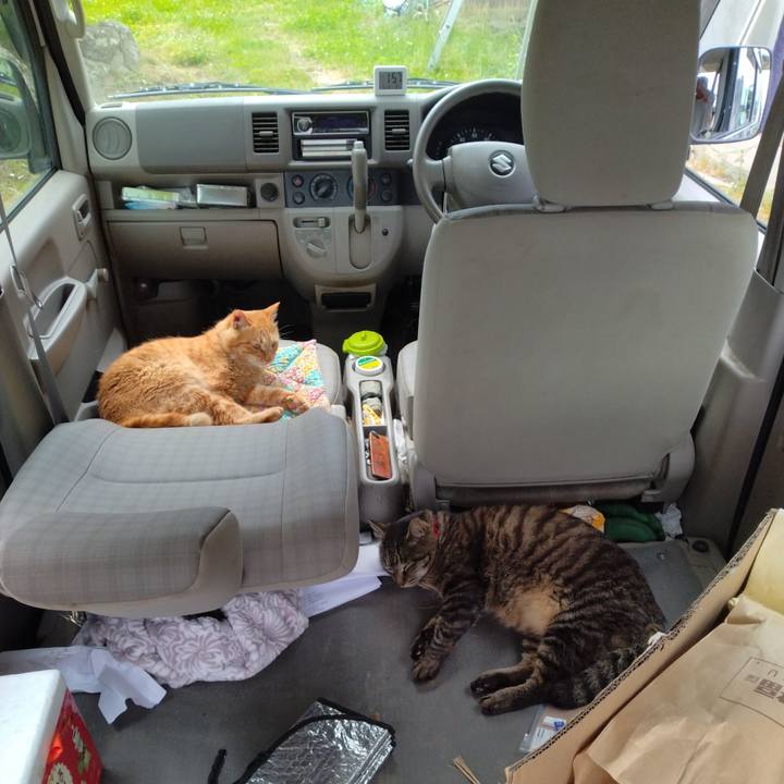 5bbb9315 6e9a 4b30 be2f 8becdd834116 1686558521934