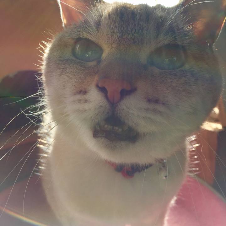 5bbbb200 4353 4c16 b713 8911769ac676 1574226184889