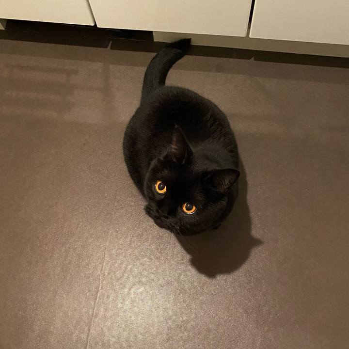 5bbbde34 e6a6 4260 b1e5 d26ec86c7165 1668087014021