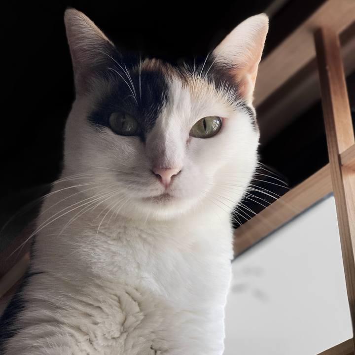 5bbbeb87 1359 4476 863d 376a22d57c2a 1536072355475