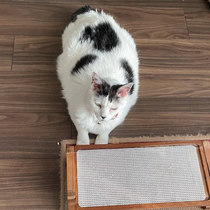 5bbbf468 c6be 4f34 bbec 057b3055149c 1751185518730