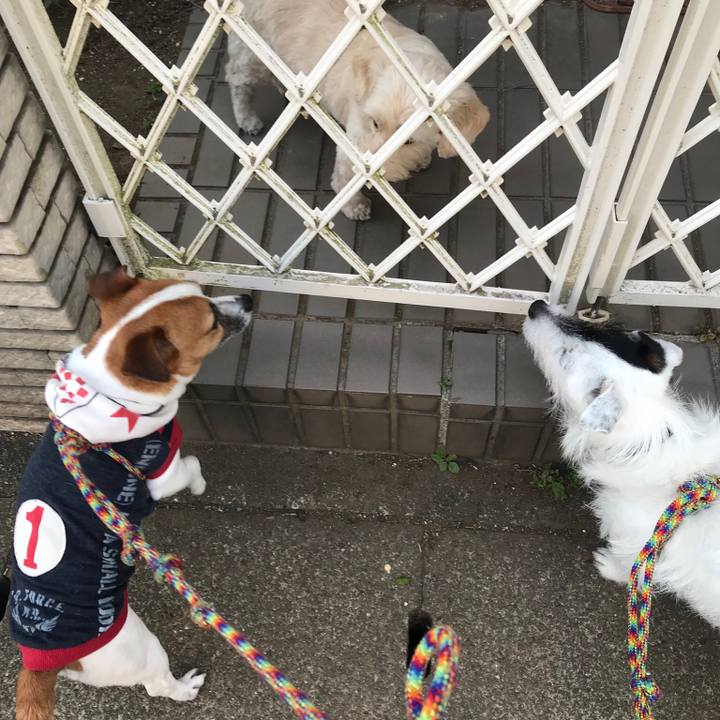 5bbc236a 5713 43da 944f 55178e16991c 1522830957463