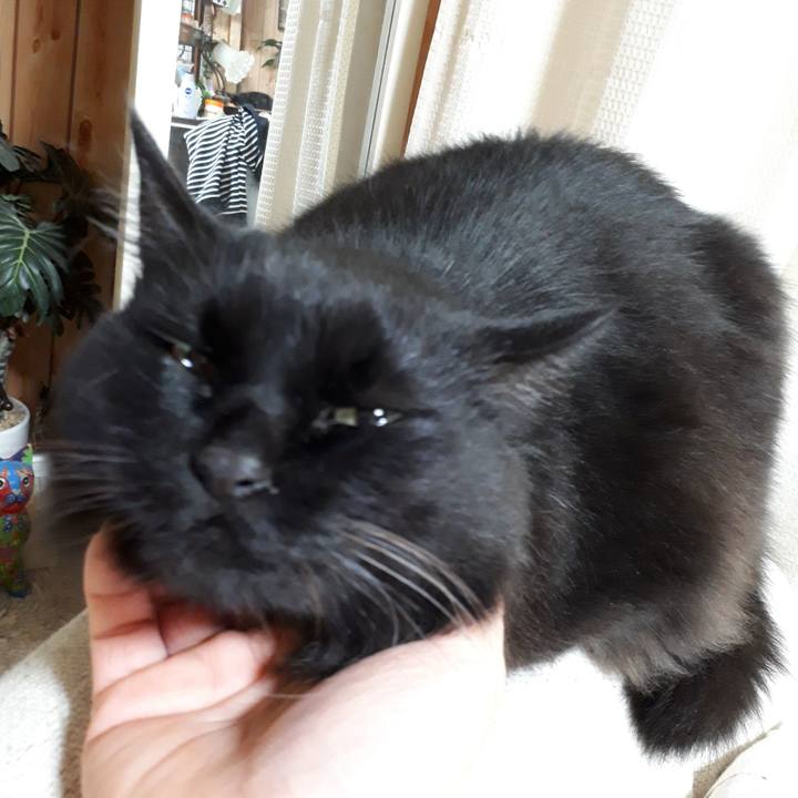 5bbc3f61 bb0d 456c 842e 76ad42a08cff 1519850376872