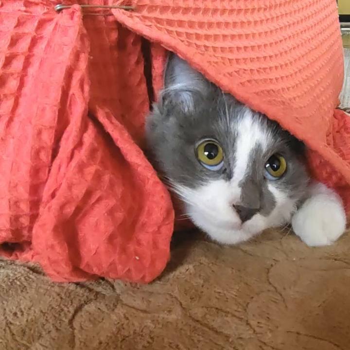 5bbc402b d45a 40f6 9e71 2dd5d7e2daac 1577000593229