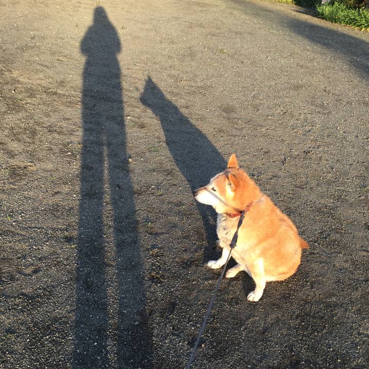 5bbc4a1b 6436 408e a971 a30d3ba164f6 1520758307268