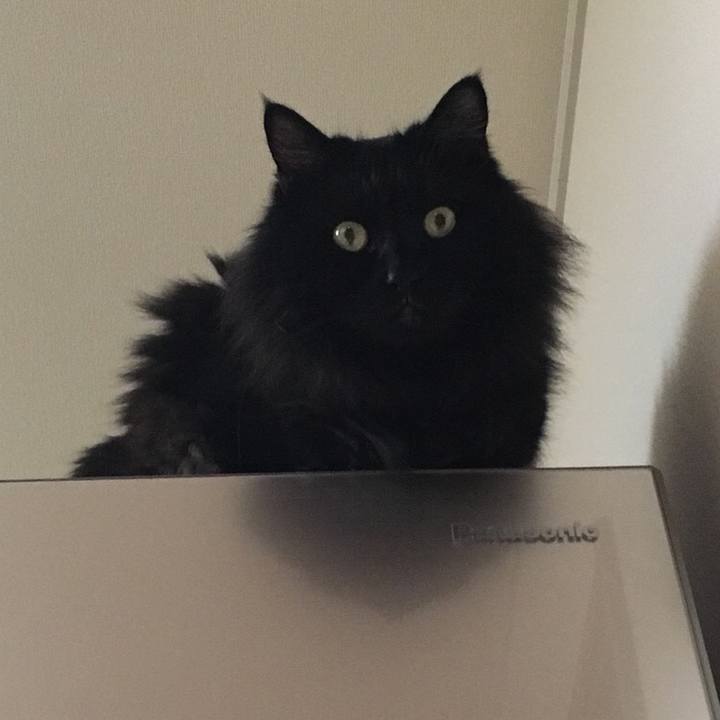 5bbc520e 2312 464b bf50 312e8bac8bbe 1545641977826