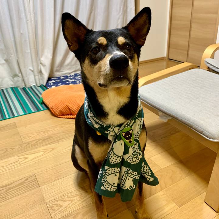 5bbc585d 924a 4ea1 9cc6 002d4452eab5 1572425521784