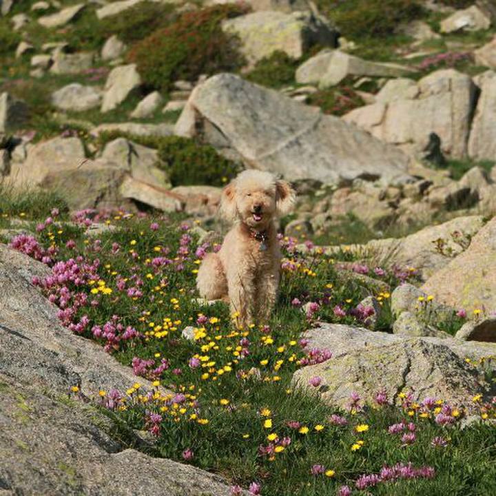 5bbc5c87 bc6a 4dfc b5e9 d27388302e85 1563987384998