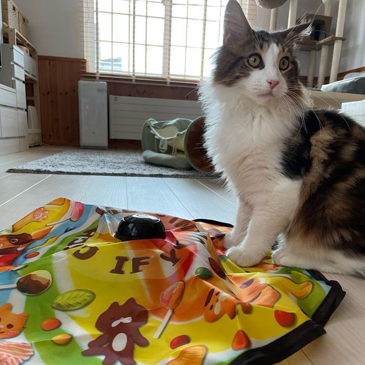 5bbc7fc5 04c5 4cc1 8987 211999c34bc3 1637651337395