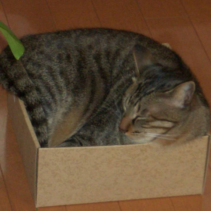 5bbc8a92 15be 4995 8b32 5f5fc9337f4d 1578908665743