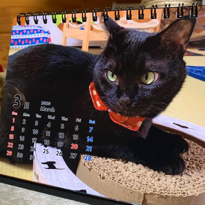 5bbcb77c fae9 4be6 bb10 d7067b516b3c 1582976665995