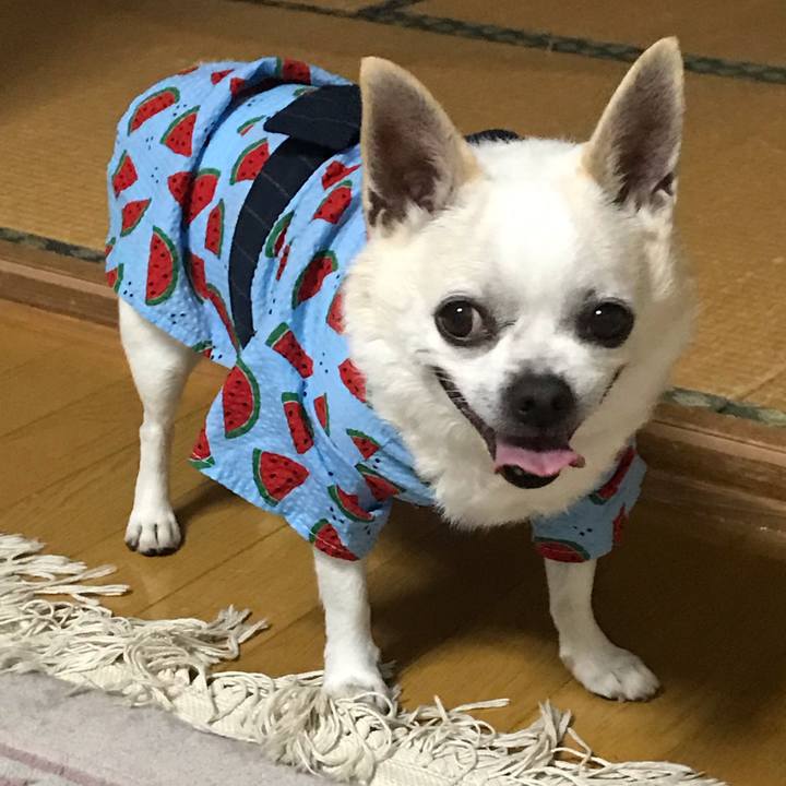 5bbcebc4 c107 425a a49b a87888e0665e 1567208930478