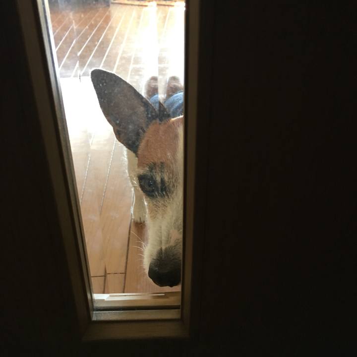 5bbd0c3f 7e5f 4f7d 994b 20d2b999c0de 1551188839208