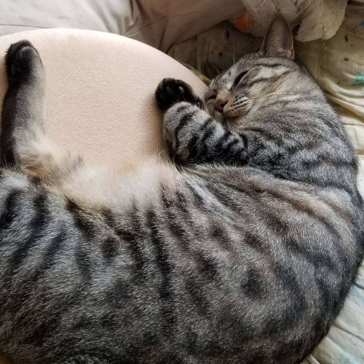 5bbd51bd 7b77 4c1e 9e7c 1caadb83cc6a 1692250143478