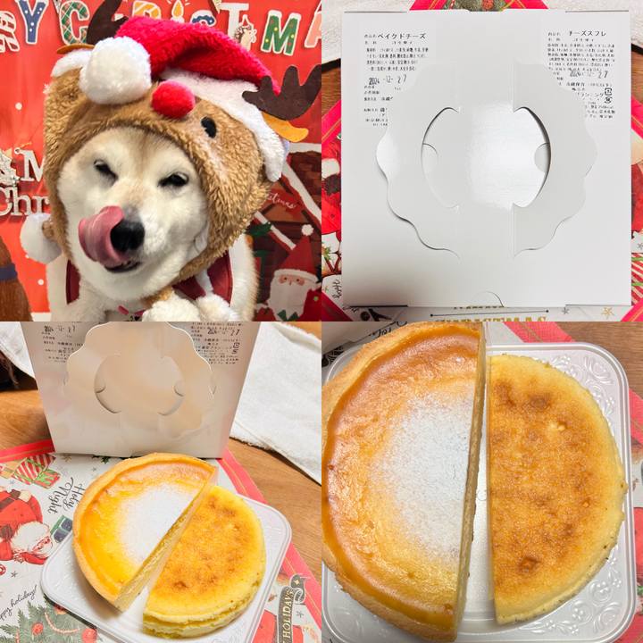 5bbd57c5 4ead 4d96 824a 3fe7962cb48e 1735125496343