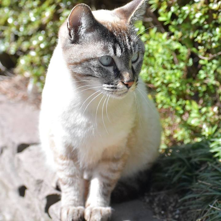 5bbd7884 28a6 4077 8464 56292e1d2495 1521250980824