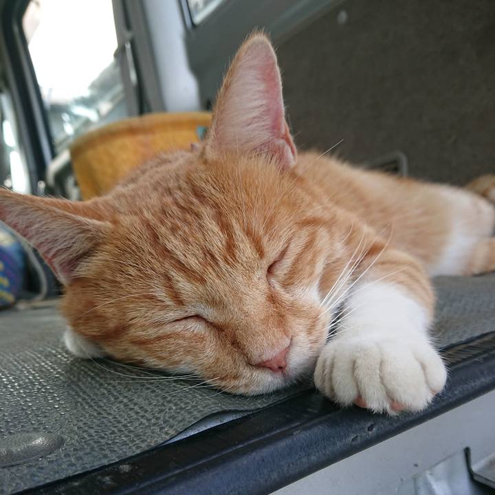 5bbdd51a affe 4863 a1cc 99de8811e8f0 1600669351980