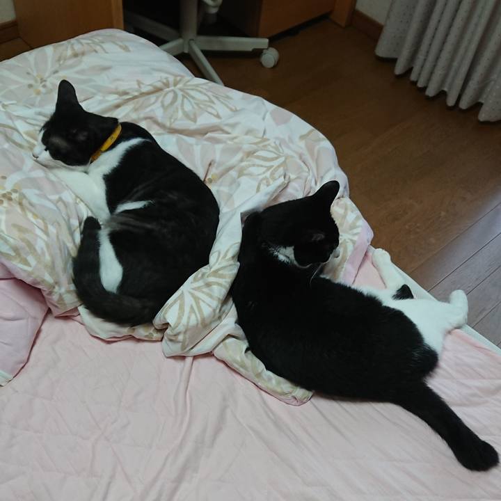 5bbde9a7 0507 40e2 810b 1fb4039fc279 1598165746046