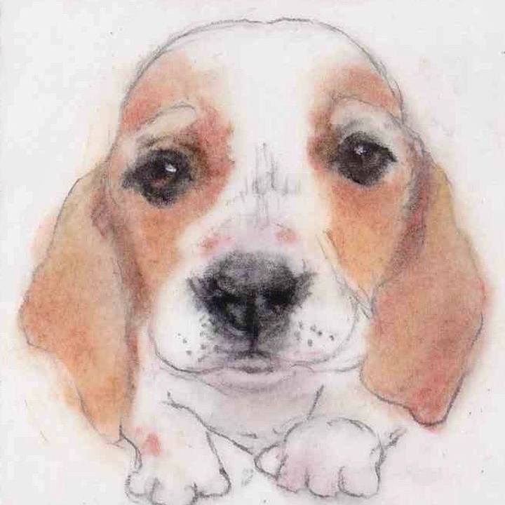 5bbe37b8 1b54 4709 8e00 3cbabd428e5e 1662420830456