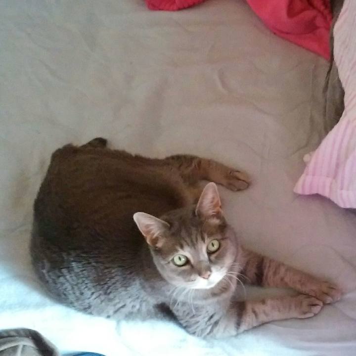 5bbe9f38 b7ac 433e 93d0 eef6be741212 1588468521340