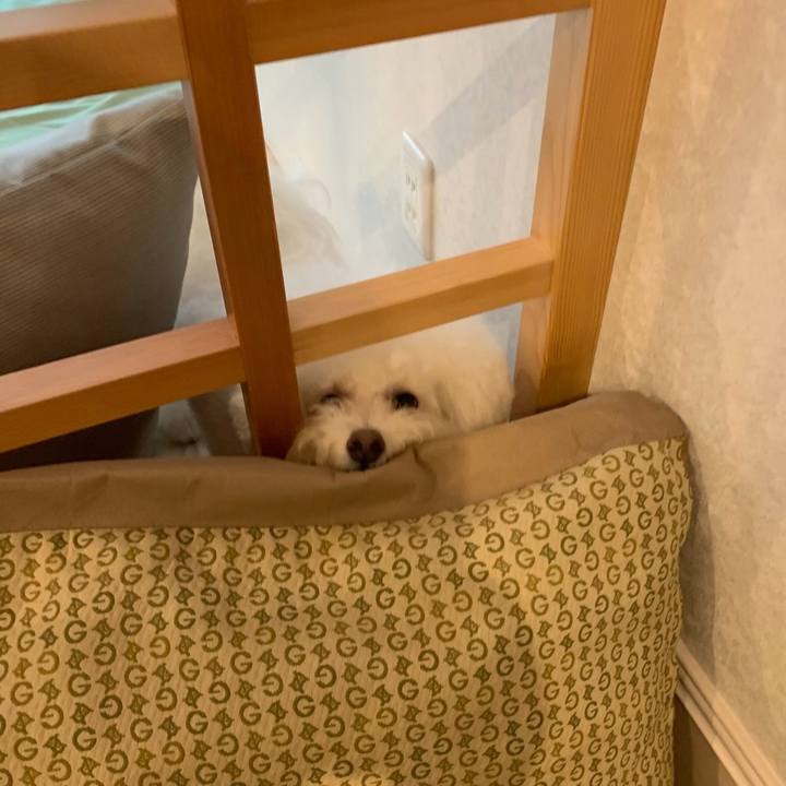 5bbead78 3611 4861 901e a665c41b0cdb 1563096282414