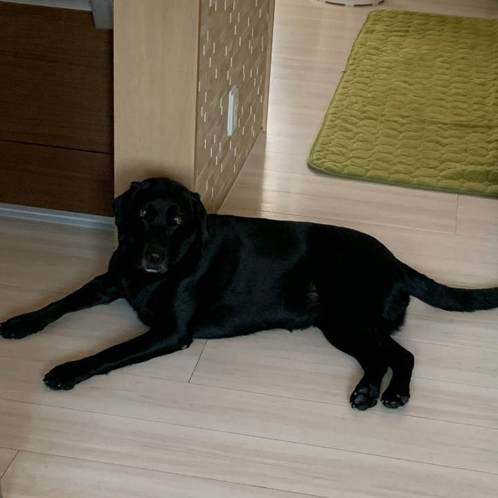 5bbeba11 baf5 4b8a 8702 4bd28d89560e 1598323900271