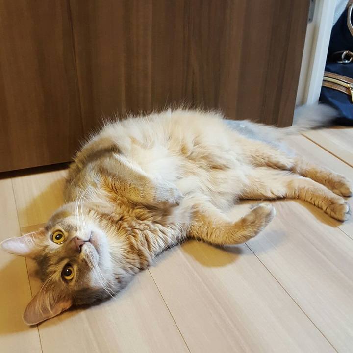 5bbec08b 3d4d 463e 8ec5 b2116df0ac18 1567257460064