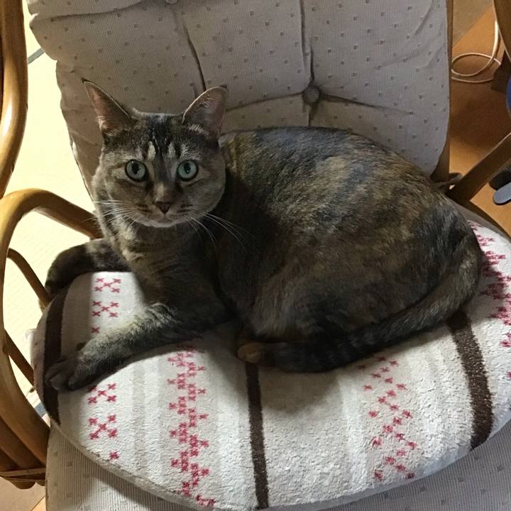 5bbed127 0714 4266 abb5 354af300c802 1726396536606