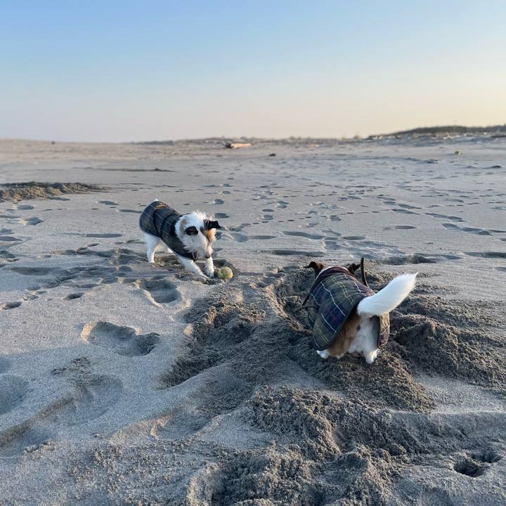 5bbee417 02bf 4b1c ad35 eb10b534540e 1771113858260