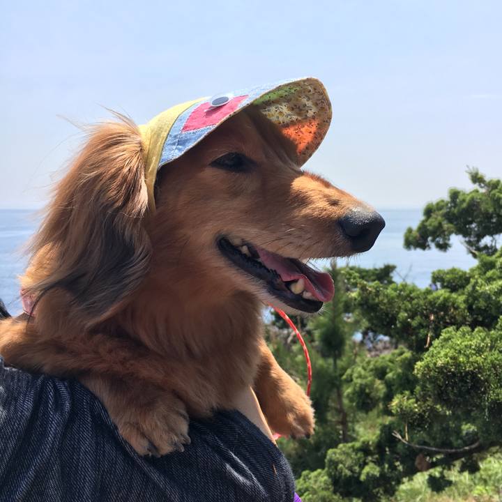 5bbf6512 488b 42f8 b86a aceb8eb64918 1525782697133