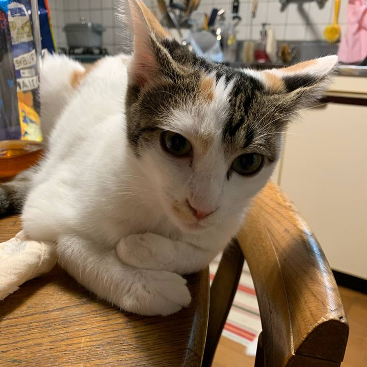 5bbf6f35 c700 4f67 a9ff d49e754a5c91 1601808912160