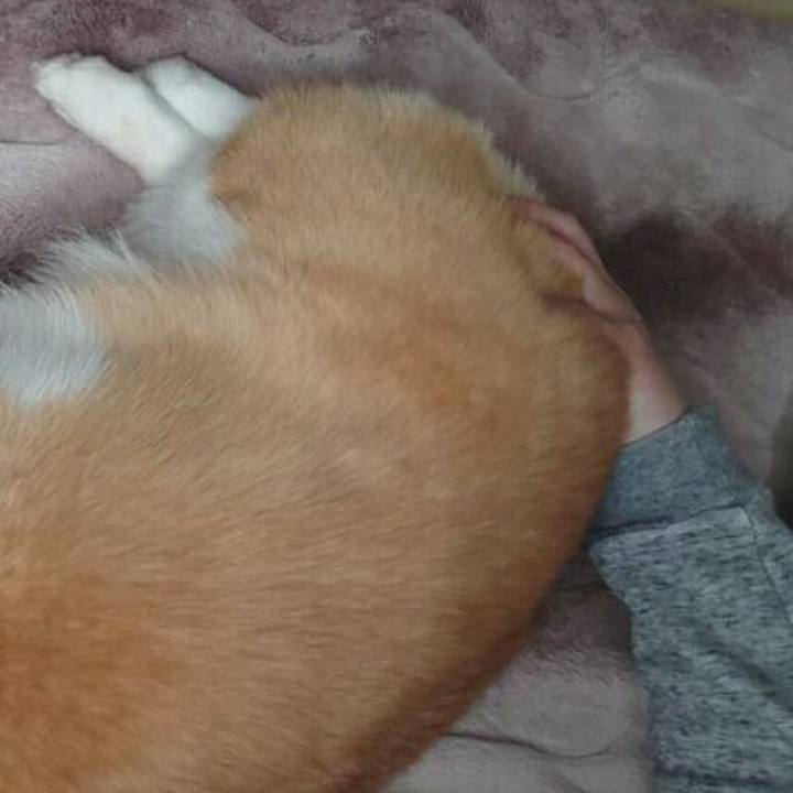 5bbf760f 6953 4583 bbd4 1cadabfd291c 1551229085829