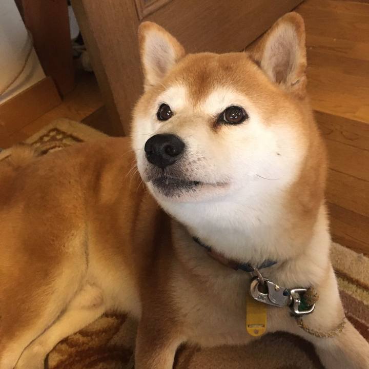 5bbfe62c 22f4 4604 a983 ab007b502436 1573702619005