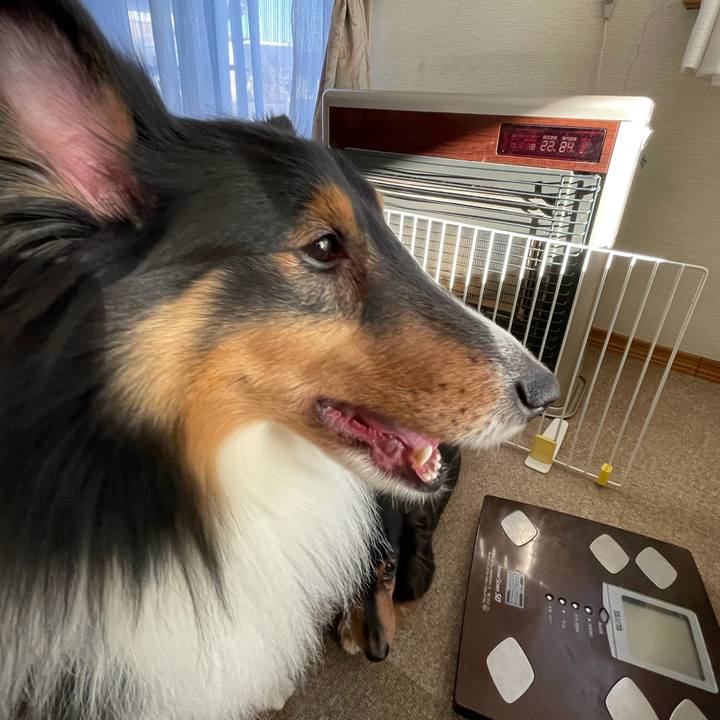 5bbff00b 416f 4422 ab8d edb0fd857f74 1610324480512