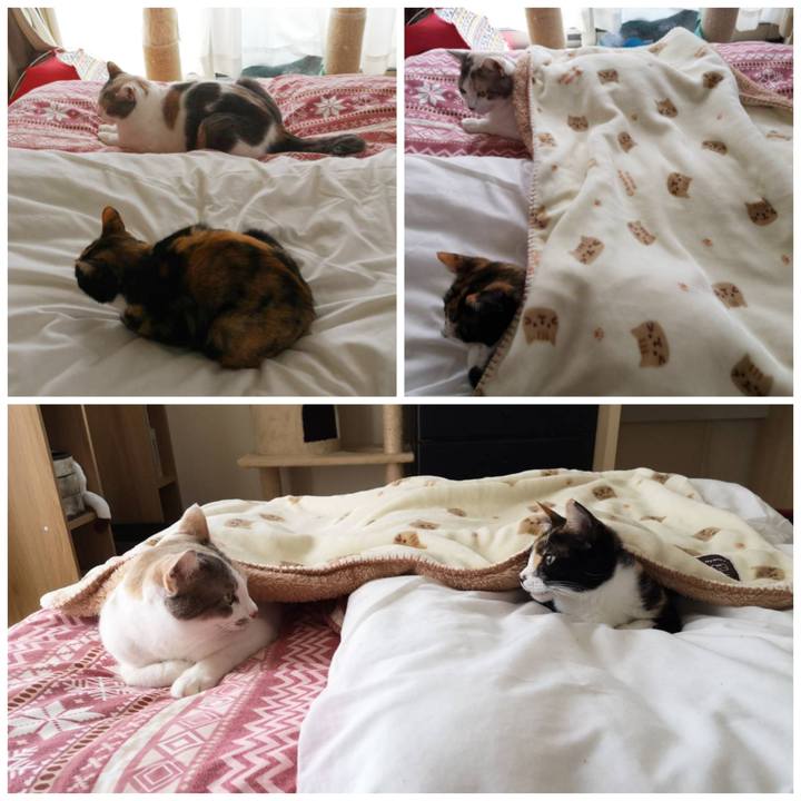 5bc00c66 1b78 48cf 9126 b3813481be84 1606559605133